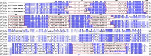 https://cdn.ncbi.nlm.nih.gov/pmc/blobs/8ec0/4100253/a312dd43ef86/1756-3305-7-242-3.jpg