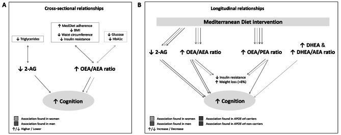 https://cdn.ncbi.nlm.nih.gov/pmc/blobs/8ec1/11167771/94d3635e2fc4/12937_2024_966_Fig5_HTML.jpg