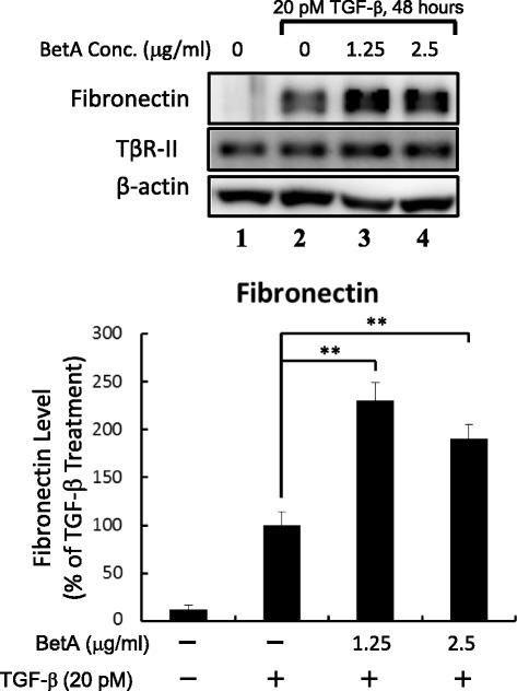 https://cdn.ncbi.nlm.nih.gov/pmc/blobs/8ec1/4769553/5069a7c66846/12929_2016_229_Fig6_HTML.jpg