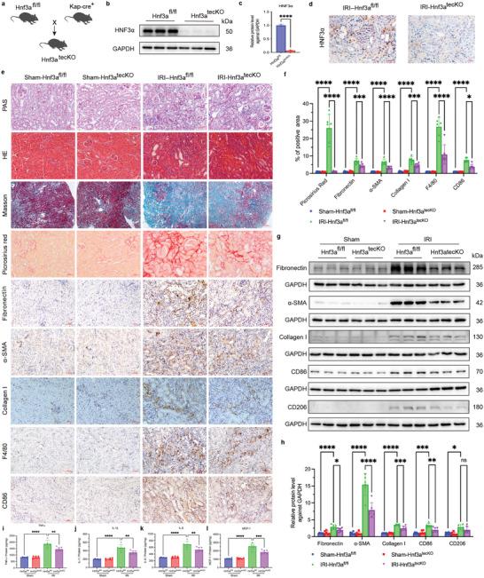 https://cdn.ncbi.nlm.nih.gov/pmc/blobs/8ec2/12097113/8c401be01ab7/ADVS-12-2410764-g010.jpg
