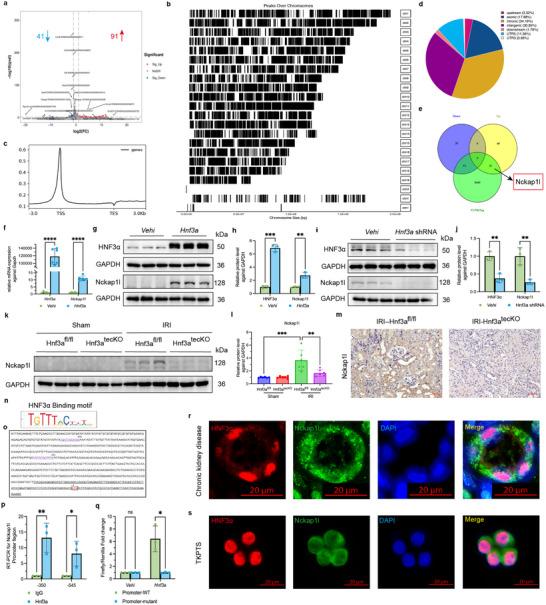 https://cdn.ncbi.nlm.nih.gov/pmc/blobs/8ec2/12097113/cdae3b66232f/ADVS-12-2410764-g005.jpg