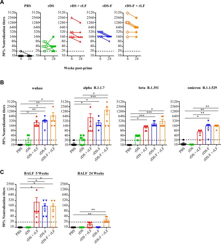 https://cdn.ncbi.nlm.nih.gov/pmc/blobs/8ec4/10878263/4cd5ebeeac50/jvi.01546-23.f007.jpg