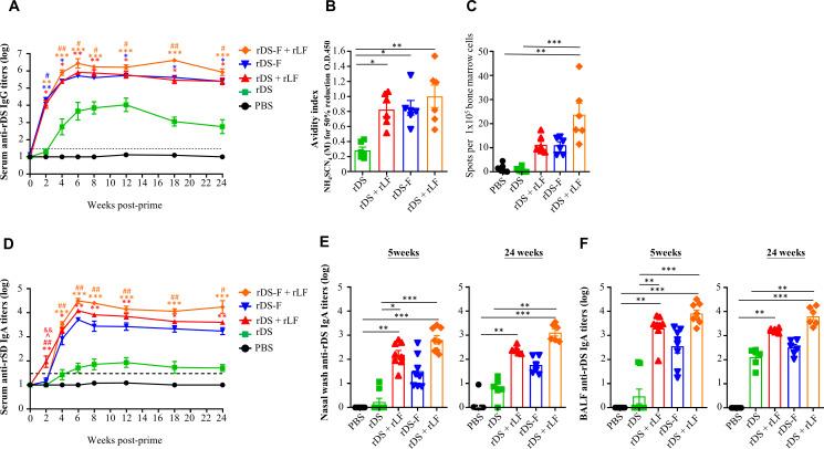 https://cdn.ncbi.nlm.nih.gov/pmc/blobs/8ec4/10878263/bc1c099055ba/jvi.01546-23.f005.jpg