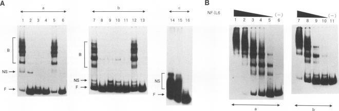 https://cdn.ncbi.nlm.nih.gov/pmc/blobs/8ec4/237461/39fafedecf26/jvirol00023-0447-a.jpg