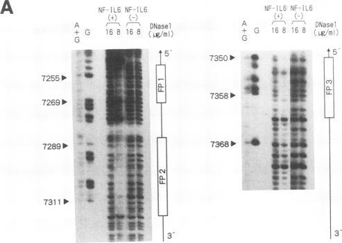 https://cdn.ncbi.nlm.nih.gov/pmc/blobs/8ec4/237461/b27b879508ee/jvirol00023-0448-a.jpg