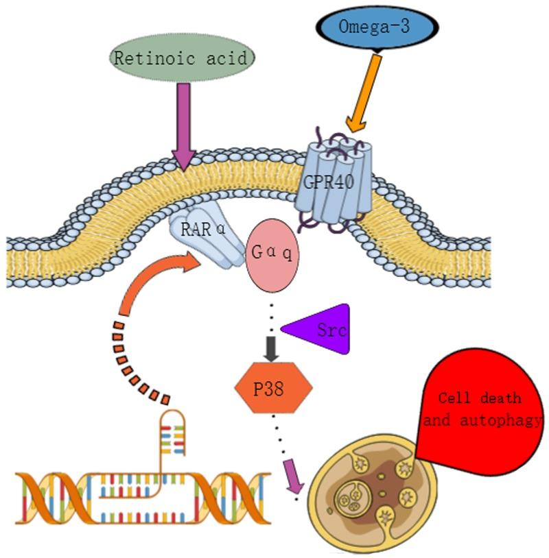 https://cdn.ncbi.nlm.nih.gov/pmc/blobs/8ec5/5752509/009eaac8d542/oncotarget-08-109135-g007.jpg