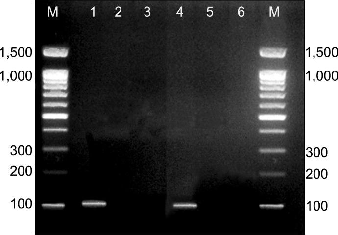 https://cdn.ncbi.nlm.nih.gov/pmc/blobs/8ec7/4249908/b987fc1331e7/ijsc_07_87f7.jpg