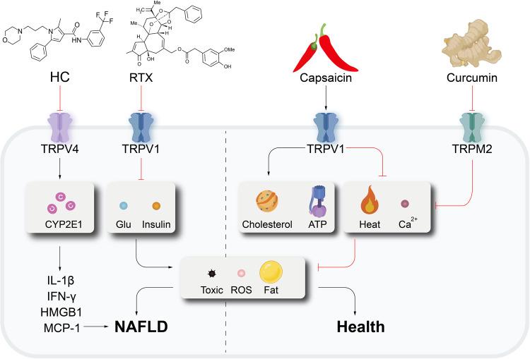 https://cdn.ncbi.nlm.nih.gov/pmc/blobs/8eca/10319900/1c61af9e2f0a/41392_2023_1464_Fig6_HTML.jpg