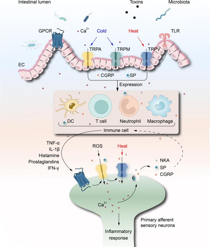 https://cdn.ncbi.nlm.nih.gov/pmc/blobs/8eca/10319900/b5d4b781fb62/41392_2023_1464_Fig5_HTML.jpg