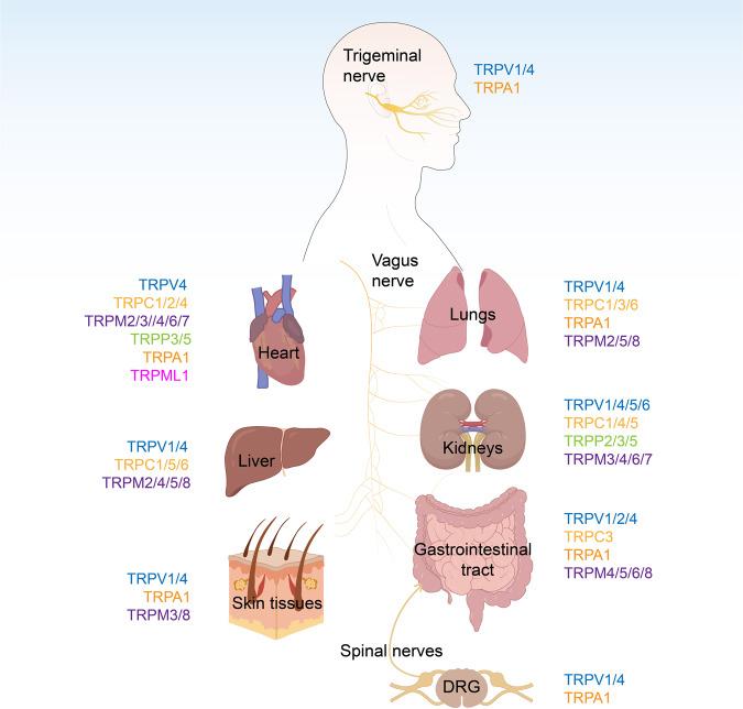 https://cdn.ncbi.nlm.nih.gov/pmc/blobs/8eca/10319900/ecf761890a7d/41392_2023_1464_Fig2_HTML.jpg