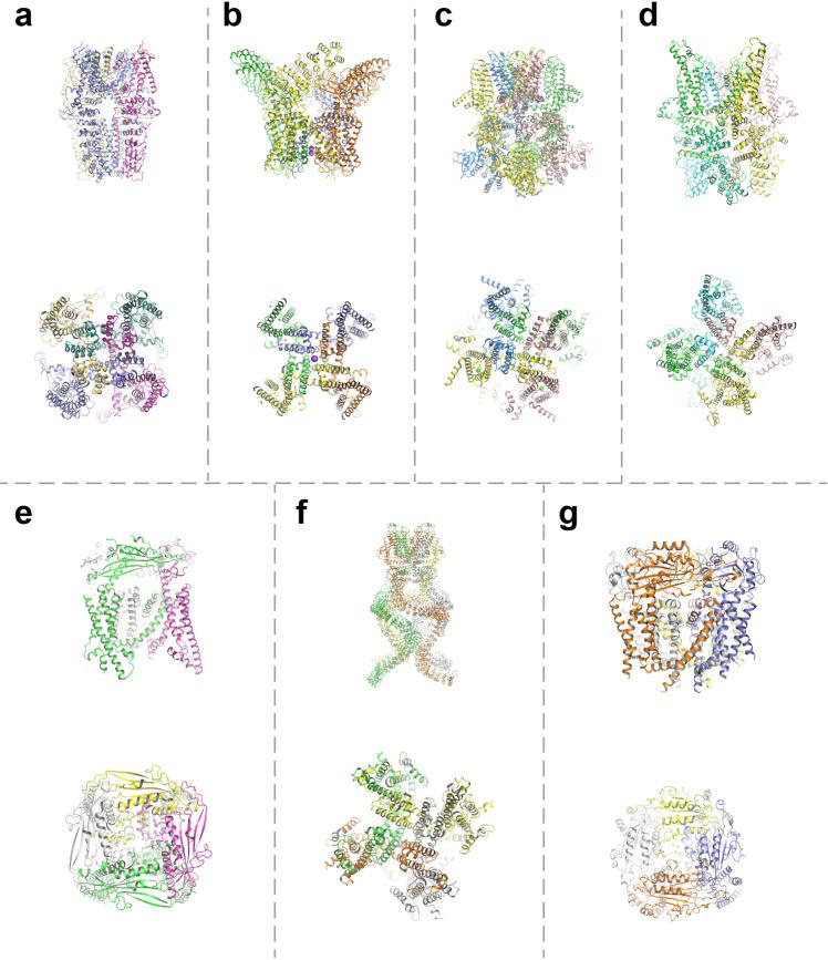 https://cdn.ncbi.nlm.nih.gov/pmc/blobs/8eca/10319900/f779ea5d14b9/41392_2023_1464_Fig3_HTML.jpg