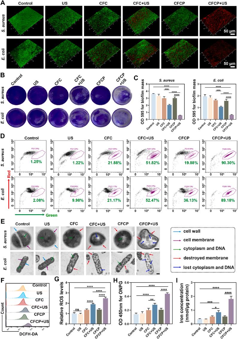 https://cdn.ncbi.nlm.nih.gov/pmc/blobs/8eca/10818060/2f273ba302d9/gr2.jpg