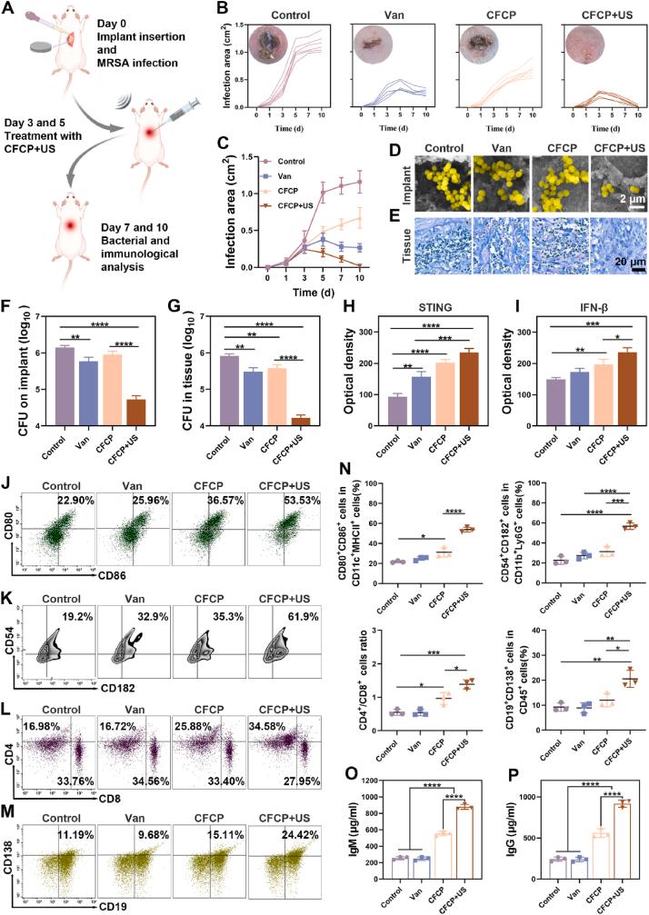 https://cdn.ncbi.nlm.nih.gov/pmc/blobs/8eca/10818060/69406ceaad24/gr6.jpg