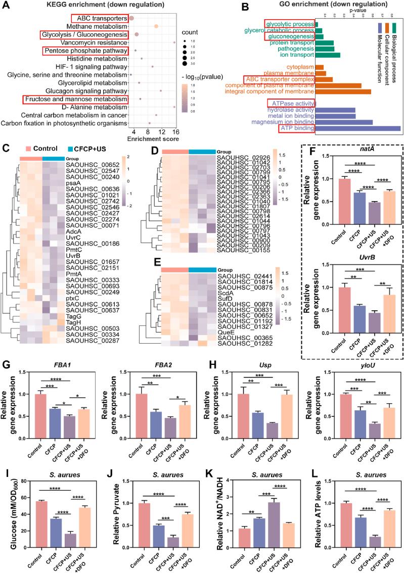 https://cdn.ncbi.nlm.nih.gov/pmc/blobs/8eca/10818060/a5073b691f03/gr3.jpg