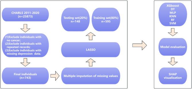 https://cdn.ncbi.nlm.nih.gov/pmc/blobs/8ecc/12210965/12ac09c347f8/12888_2025_7074_Fig1_HTML.jpg