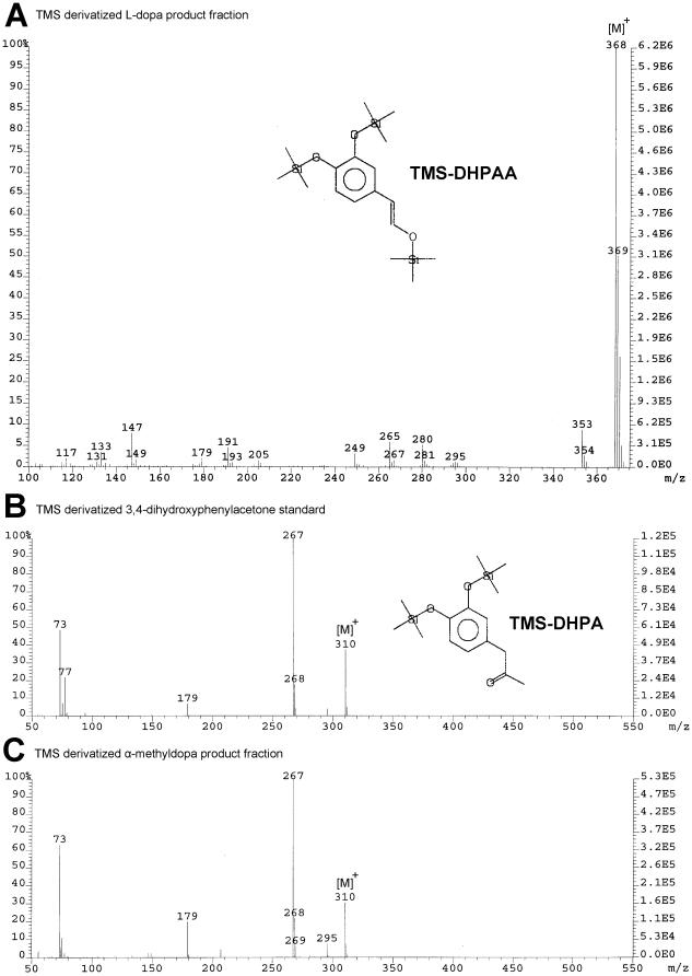 https://cdn.ncbi.nlm.nih.gov/pmc/blobs/8ecc/3026038/de19b9581e50/pone.0016124.g005.jpg