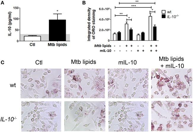 https://cdn.ncbi.nlm.nih.gov/pmc/blobs/8ecc/5854656/ae8c4897cfe9/fimmu-09-00459-g005.jpg