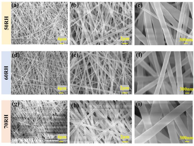 https://cdn.ncbi.nlm.nih.gov/pmc/blobs/8ece/10974785/edb3bf104d2e/polymers-16-00816-g007.jpg