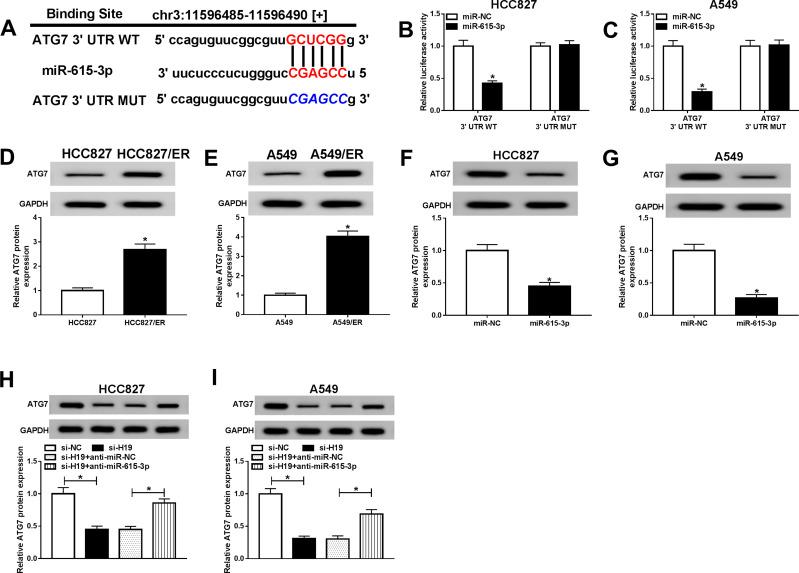 https://cdn.ncbi.nlm.nih.gov/pmc/blobs/8ecf/7294568/d5ed2ab2c5c7/CMAR-12-4283-g0007.jpg