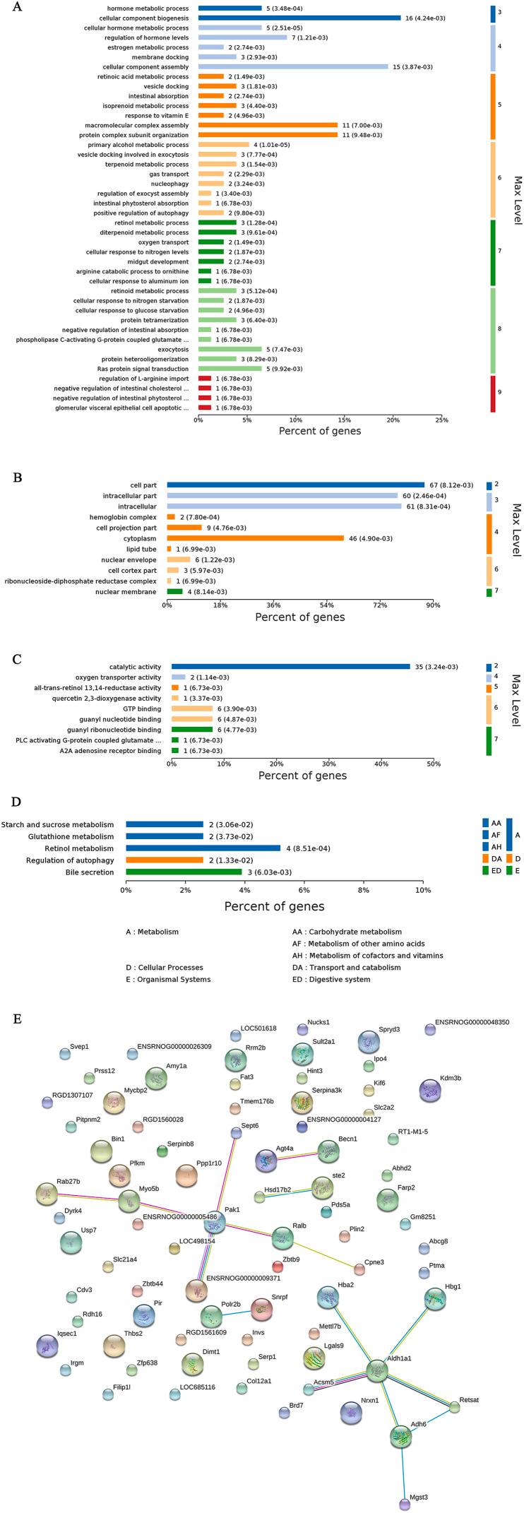 https://cdn.ncbi.nlm.nih.gov/pmc/blobs/8ed1/11238048/47deecc0877f/gr5.jpg