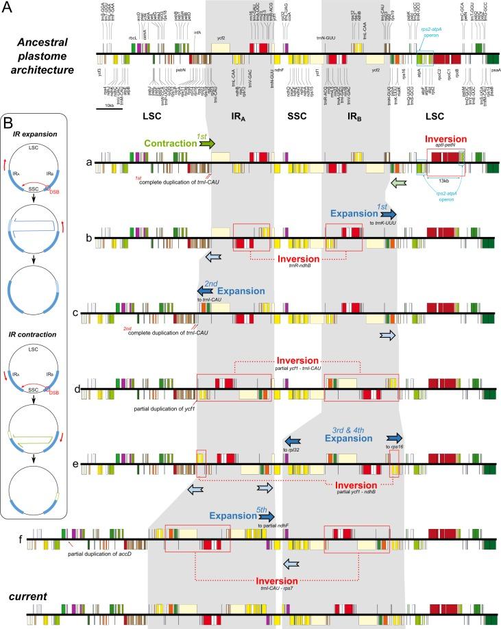 https://cdn.ncbi.nlm.nih.gov/pmc/blobs/8ed1/6134119/450c2d562686/41598_2018_31938_Fig5_HTML.jpg