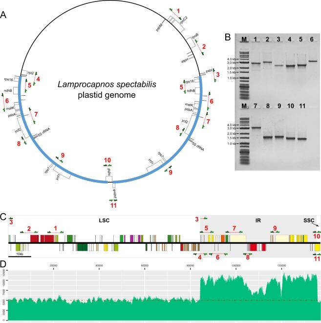 https://cdn.ncbi.nlm.nih.gov/pmc/blobs/8ed1/6134119/569033287489/41598_2018_31938_Fig3_HTML.jpg