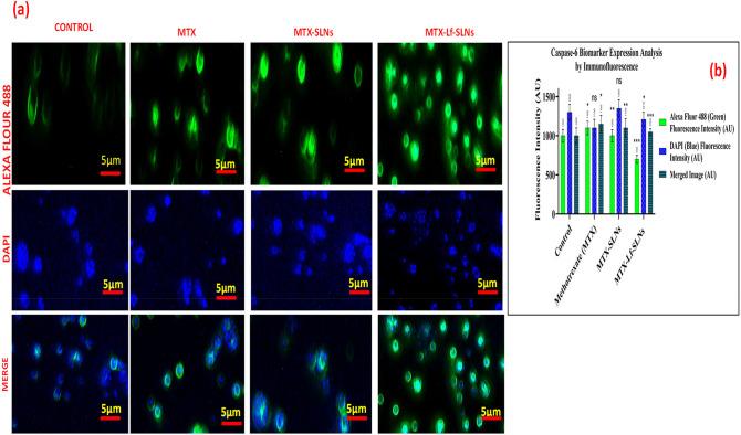 https://cdn.ncbi.nlm.nih.gov/pmc/blobs/8ed2/12214825/09e97400c7a2/41598_2025_8089_Fig10_HTML.jpg