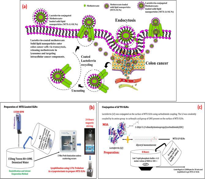 https://cdn.ncbi.nlm.nih.gov/pmc/blobs/8ed2/12214825/c58e2b09e520/41598_2025_8089_Fig1_HTML.jpg