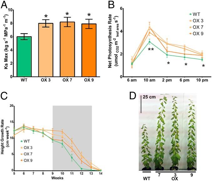 https://cdn.ncbi.nlm.nih.gov/pmc/blobs/8ed3/7060721/0133c8412719/pnas.1912434117fig03.jpg