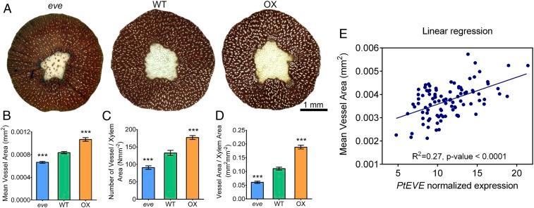 https://cdn.ncbi.nlm.nih.gov/pmc/blobs/8ed3/7060721/64e73185537b/pnas.1912434117fig01.jpg