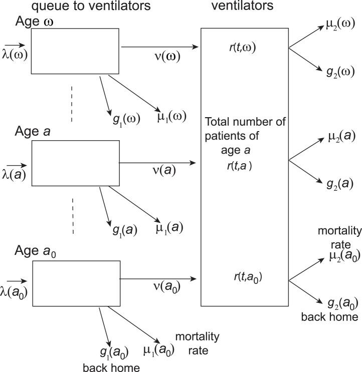 https://cdn.ncbi.nlm.nih.gov/pmc/blobs/8ed3/7876509/c2e951824b1e/gr1_lrg.jpg