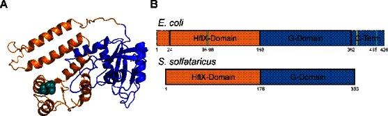 https://cdn.ncbi.nlm.nih.gov/pmc/blobs/8ed4/4770234/1b20bea6c1d6/gkv1524fig1.jpg
