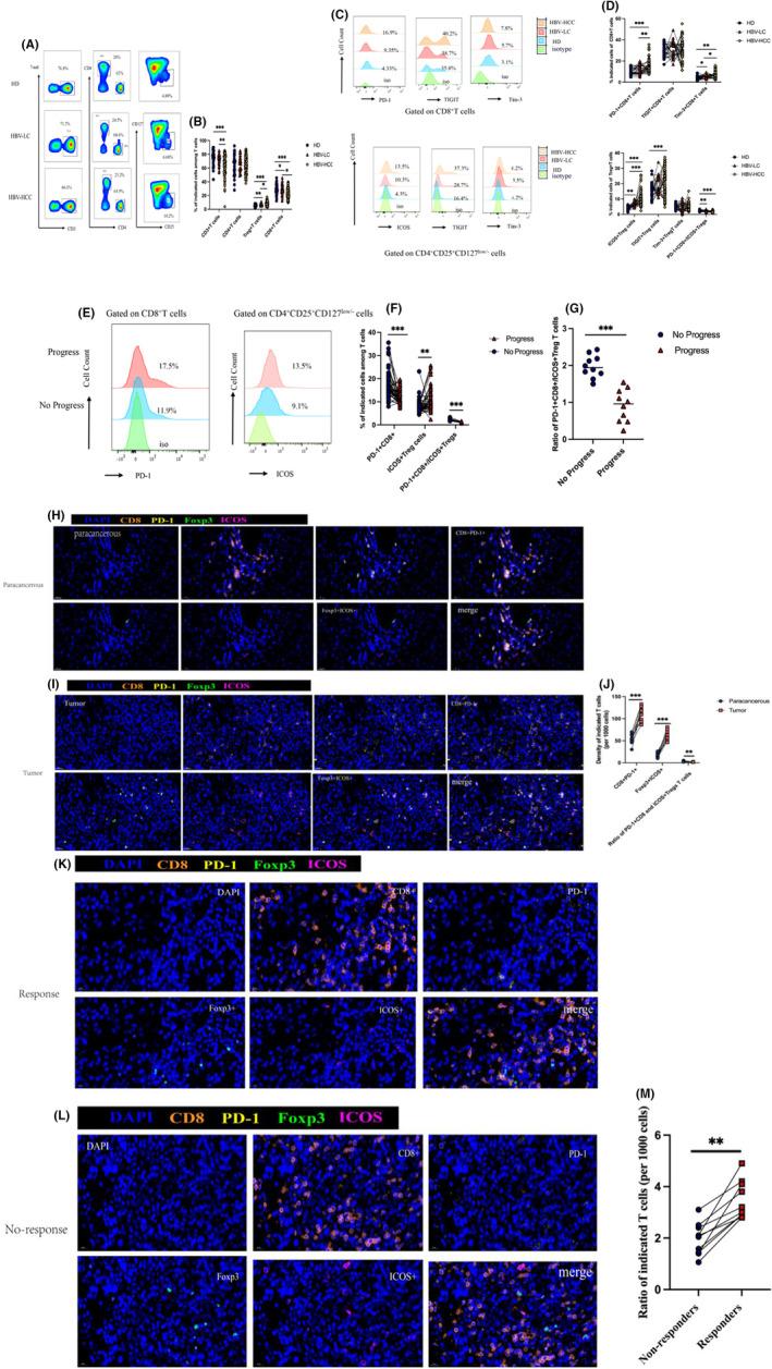 https://cdn.ncbi.nlm.nih.gov/pmc/blobs/8ed5/11309941/9b95e91bda17/CAS-115-2553-g005.jpg