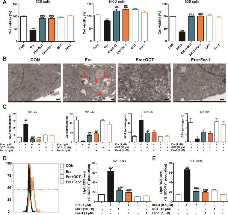 https://cdn.ncbi.nlm.nih.gov/pmc/blobs/8ed6/7753233/00f573fe9f0a/gr1.jpg