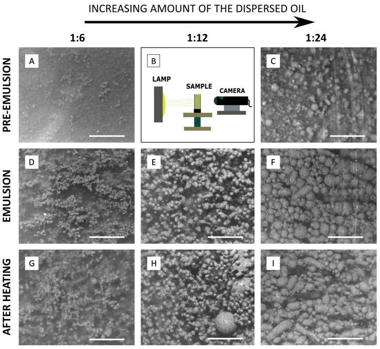 https://cdn.ncbi.nlm.nih.gov/pmc/blobs/8ed7/11398209/c0fad7e627ae/sensors-24-05710-g004.jpg