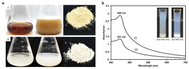 https://cdn.ncbi.nlm.nih.gov/pmc/blobs/8ed9/10675506/c9bce03e71f0/pharmaceutics-15-02634-g002.jpg