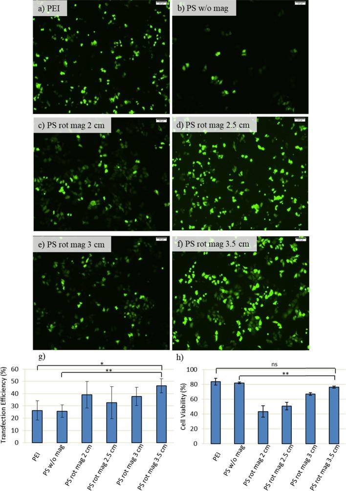 https://cdn.ncbi.nlm.nih.gov/pmc/blobs/8ed9/6682024/3edcdcd0e579/ao-2019-010002_0001.jpg