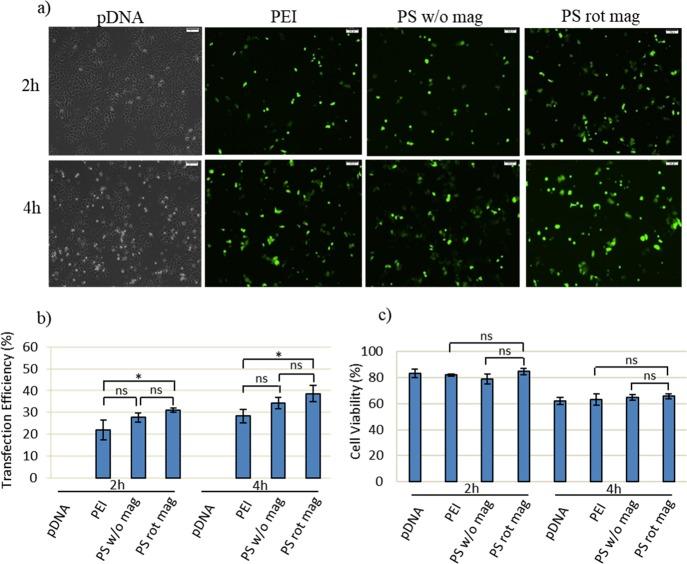 https://cdn.ncbi.nlm.nih.gov/pmc/blobs/8ed9/6682024/5510dba945b5/ao-2019-010002_0004.jpg