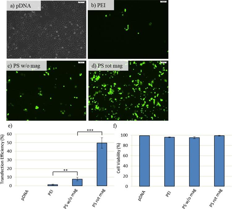 https://cdn.ncbi.nlm.nih.gov/pmc/blobs/8ed9/6682024/86b010d02c96/ao-2019-010002_0003.jpg
