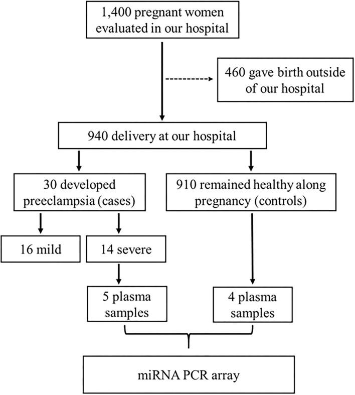 https://cdn.ncbi.nlm.nih.gov/pmc/blobs/8eda/8493119/a39d351d98b3/fphys-12-678184-g0001.jpg