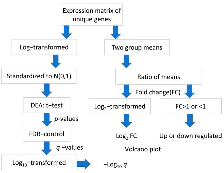 https://cdn.ncbi.nlm.nih.gov/pmc/blobs/8edc/10218698/b11a2b2186ae/ijms-24-08720-g008.jpg