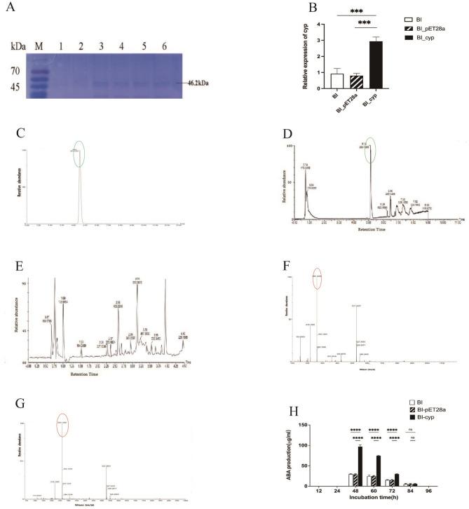 https://cdn.ncbi.nlm.nih.gov/pmc/blobs/8edc/12087060/76f16fd96080/12866_2025_3988_Fig1_HTML.jpg