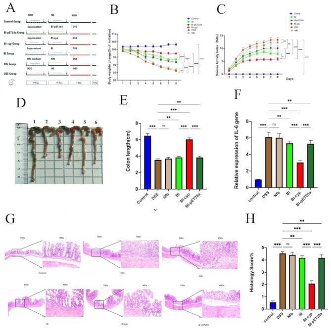 https://cdn.ncbi.nlm.nih.gov/pmc/blobs/8edc/12087060/b01b2cc350dd/12866_2025_3988_Fig2_HTML.jpg