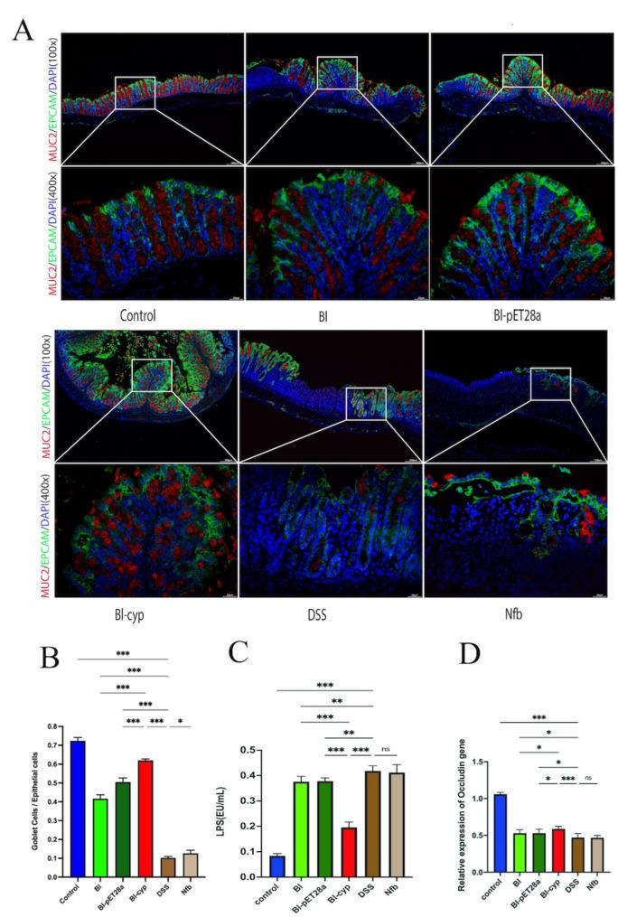 https://cdn.ncbi.nlm.nih.gov/pmc/blobs/8edc/12087060/dbc3f8710276/12866_2025_3988_Fig3_HTML.jpg