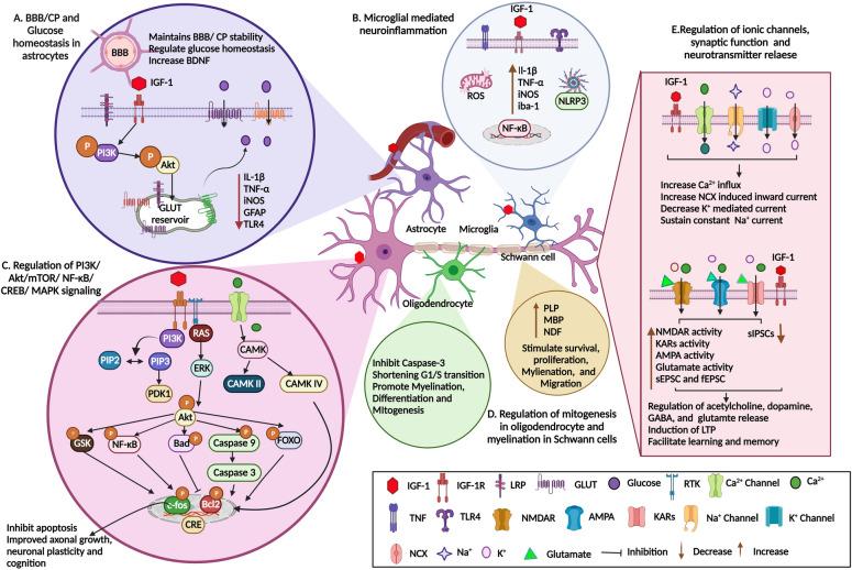 https://cdn.ncbi.nlm.nih.gov/pmc/blobs/8edd/9872444/0c5019ecca66/13578_2023_966_Fig2_HTML.jpg