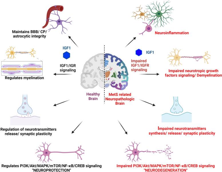 https://cdn.ncbi.nlm.nih.gov/pmc/blobs/8edd/9872444/3d5f1d71687f/13578_2023_966_Fig1_HTML.jpg