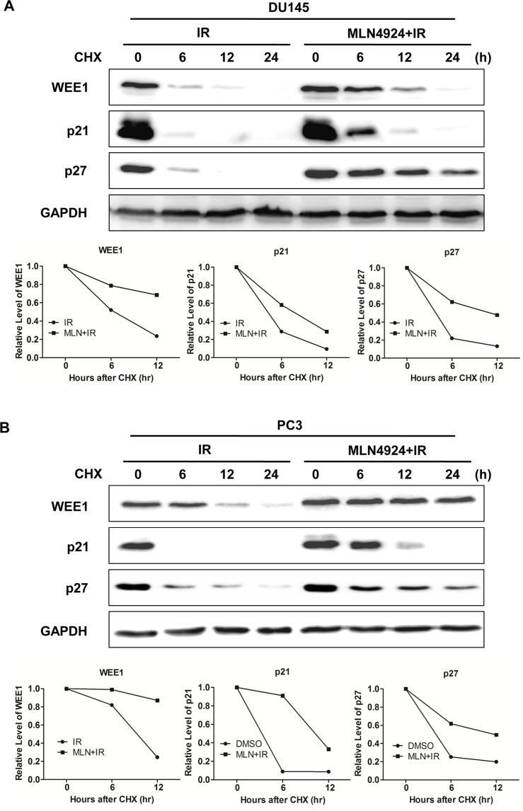 https://cdn.ncbi.nlm.nih.gov/pmc/blobs/8ede/5122397/9938b4caacf3/oncotarget-07-38380-g003.jpg
