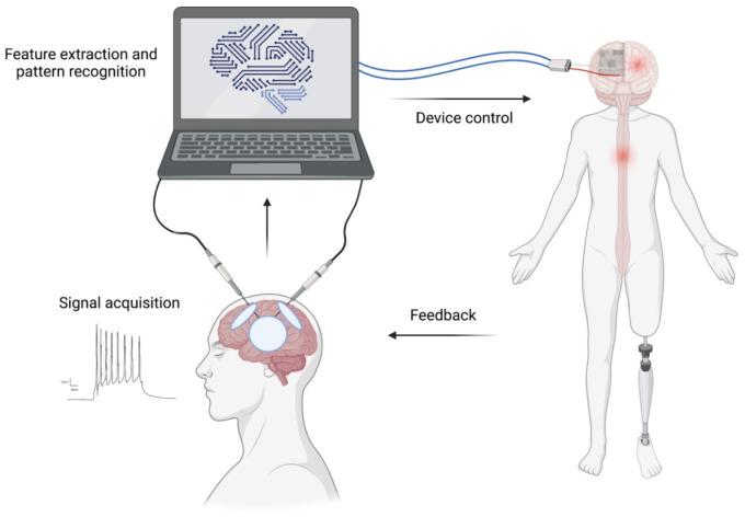https://cdn.ncbi.nlm.nih.gov/pmc/blobs/8ee2/8611194/c99e6f113bb5/neurosci-08-04-025-g005.jpg