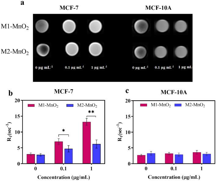 https://cdn.ncbi.nlm.nih.gov/pmc/blobs/8ee4/10480446/1e7f51fc5ad3/41598_2023_41598_Fig10_HTML.jpg