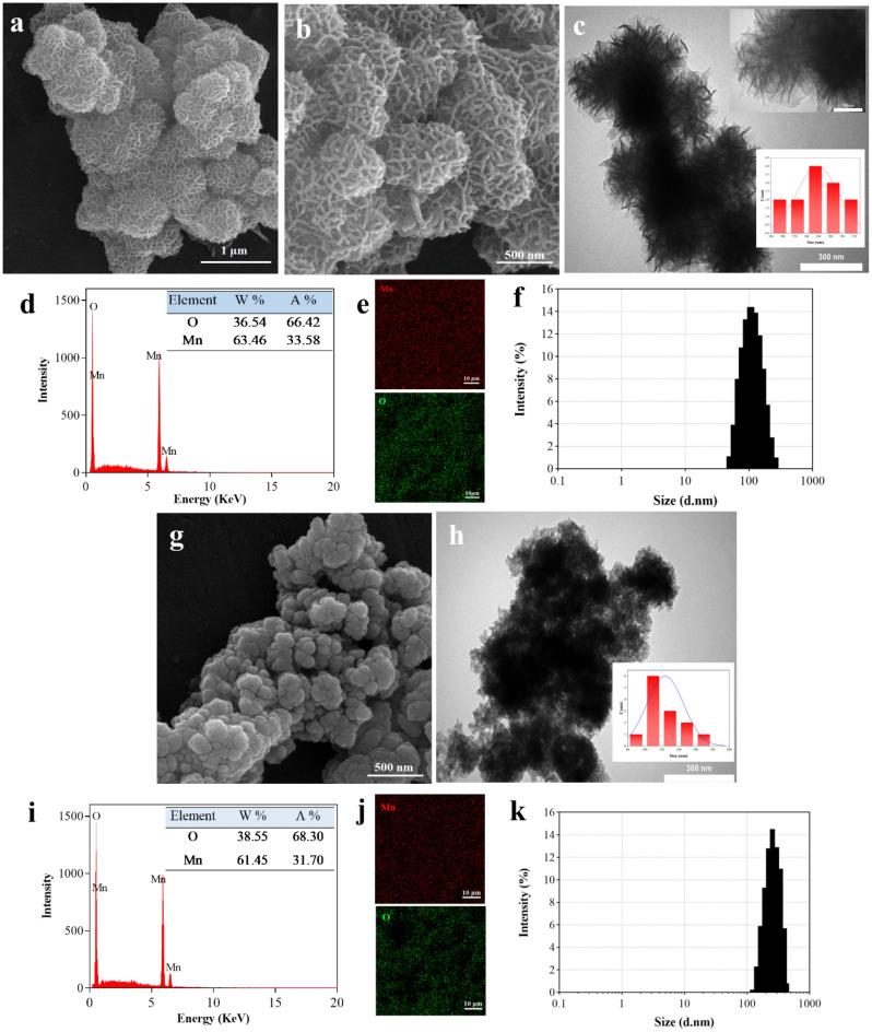 https://cdn.ncbi.nlm.nih.gov/pmc/blobs/8ee4/10480446/429277fc09b1/41598_2023_41598_Fig3_HTML.jpg